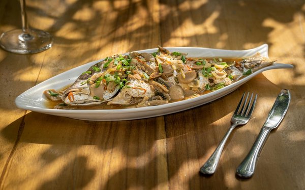 How Are Current Trends Shaping the Preferences of UK Women in Fashion?